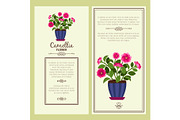 Camellia flower in pot banners