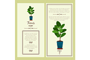 Greeting card with ficus plant