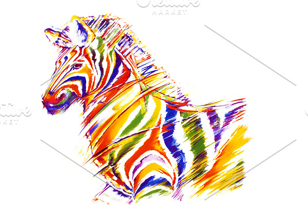 Zebra in colours