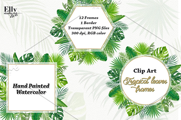 Tropical leaves frames in Illustrations - product preview 1
