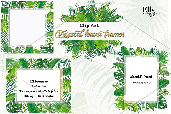 Tropical leaves frames in Illustrations - product preview 2