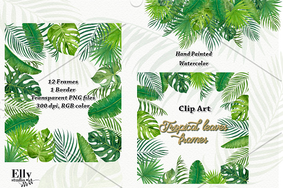 Tropical leaves frames in Illustrations - product preview 5