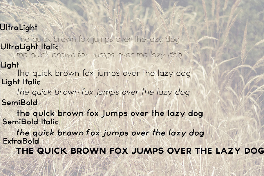Typograph Pro in Fonts - product preview 8