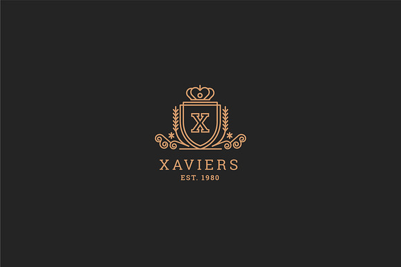 Letter X Logo - Heraldry Crest Logo in Logo Templates - product preview 2