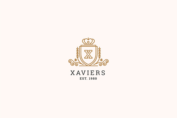 Letter X Logo - Heraldry Crest Logo in Logo Templates - product preview 3