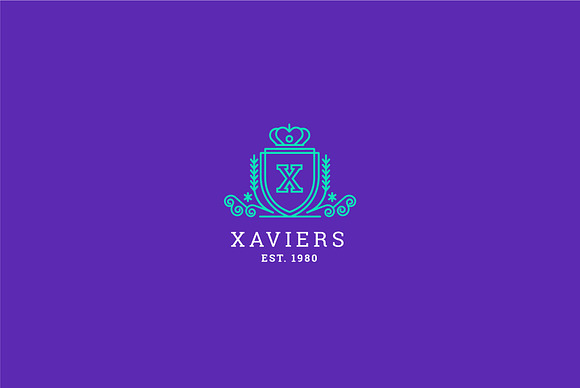 Letter X Logo - Heraldry Crest Logo in Logo Templates - product preview 5