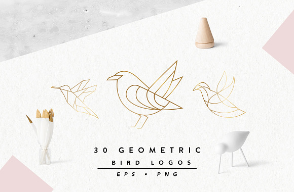 Geometric Bird Logos EPS & PNG in Logo Icons - product preview 4