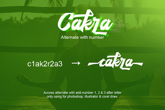 Cakra Script in Script Fonts - product preview 5