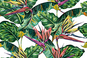 Tropical leaves,flowers pattern