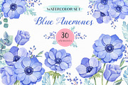 SALE! Blue Anemones