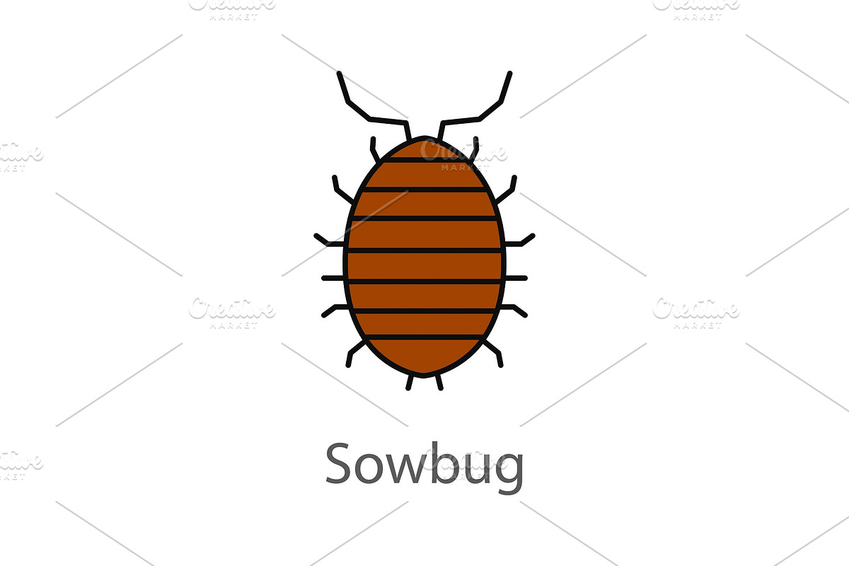 Woodlouse color icon in Graphics - product preview 8