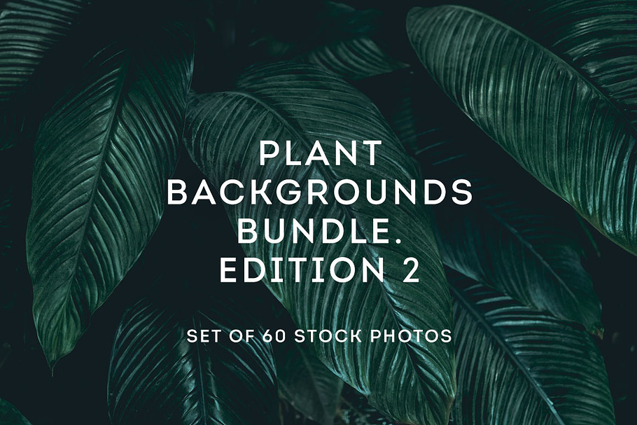 Plant backgrounds bundle 2