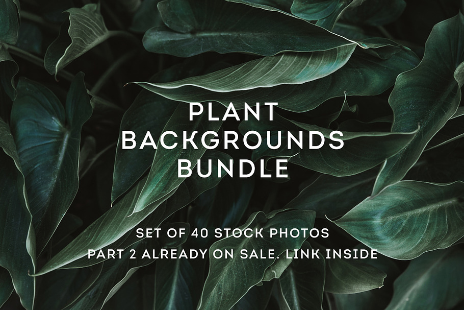 Plant backgrounds bundle