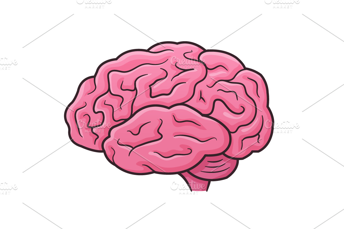 Human Brain in Illustrations - product preview 8