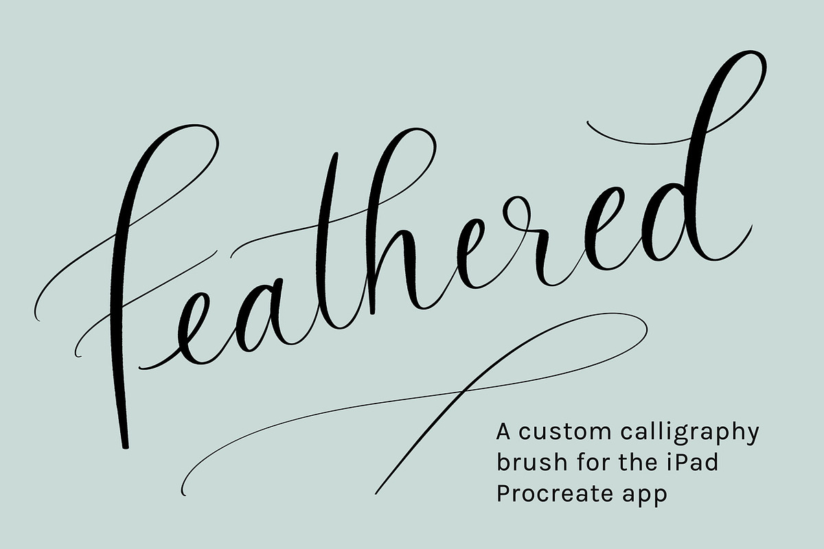 Procreate Brush | Feathered in Photoshop Brushes - product preview 8