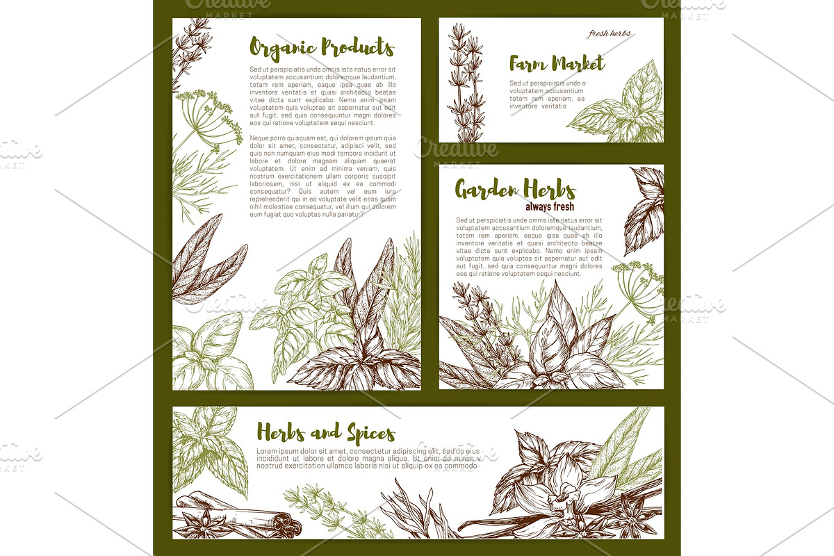 Vector organic spices and herbs seasonings sketch in Illustrations - product preview 8