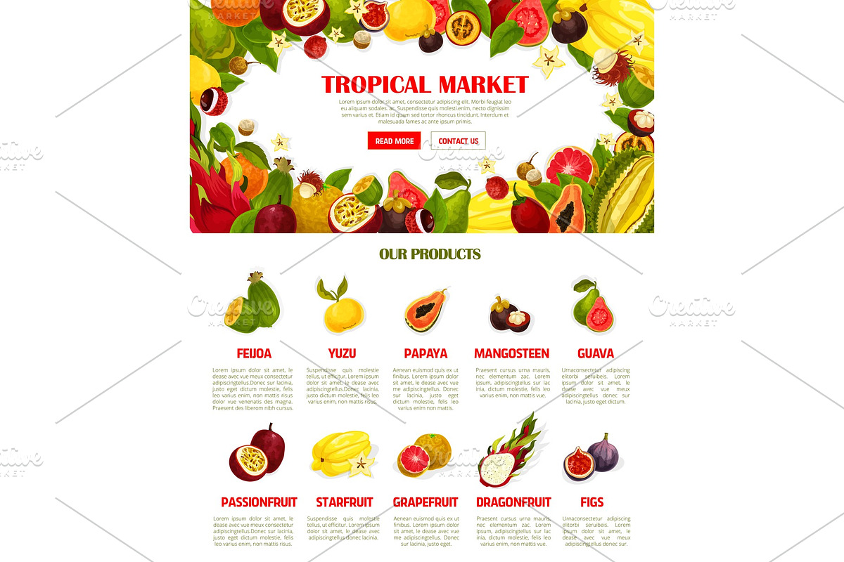 Vector web template exotic fresh tropical fruits in Illustrations - product preview 8