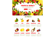 Vector web template exotic fresh tropical fruits