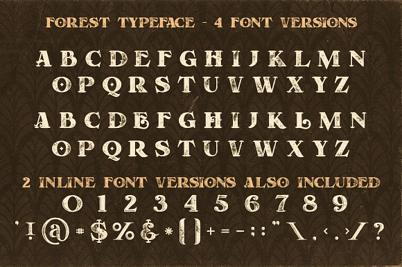Forest - Display Font in Display Fonts - product preview 3