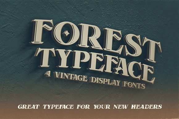 Forest - Display Font in Display Fonts - product preview 4