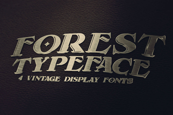 Forest - Display Font in Display Fonts - product preview 5