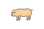 Pig color icon