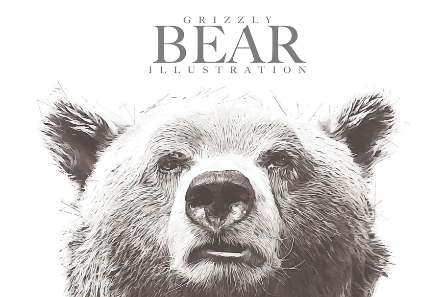 Grizzly Bear Illustration in Illustrations - product preview 8