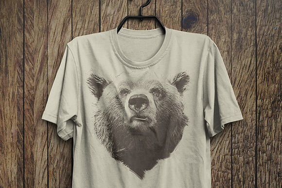 Grizzly Bear Illustration in Illustrations - product preview 1