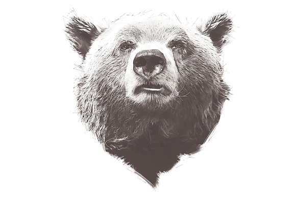 Grizzly Bear Illustration in Illustrations - product preview 2