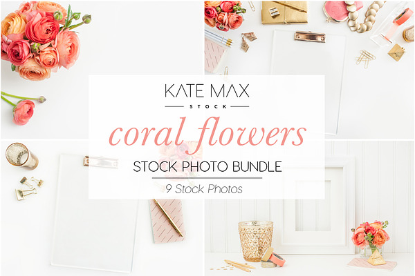 Coral Flowers Stock Photo Bundle 