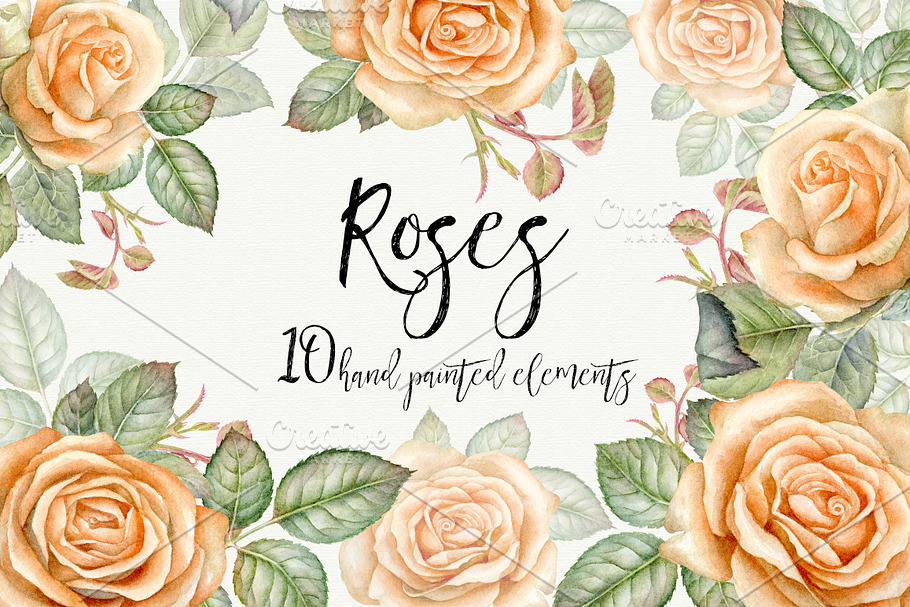 Watercolor vintage roses.PNG in Illustrations - product preview 8