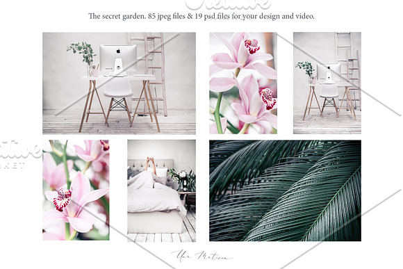 Photo bundle+bonus in Instagram Templates - product preview 1