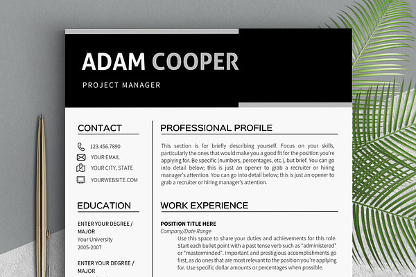 Business Resume Template MS Word