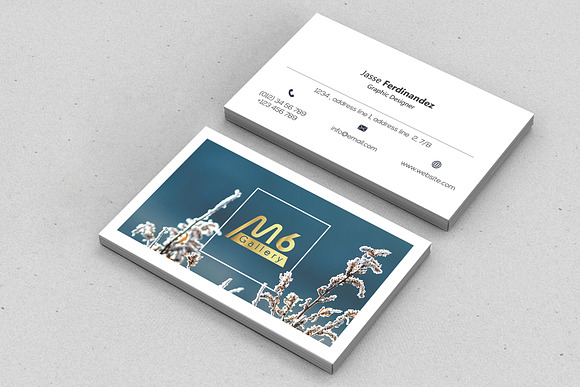 Unique 50 Business Card Bundle in Business Card Templates - product preview 52