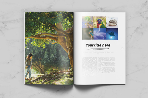 Minimal Pro Magazine in Magazine Templates - product preview 1