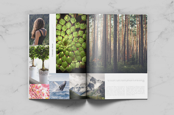 Minimal Pro Magazine in Magazine Templates - product preview 3