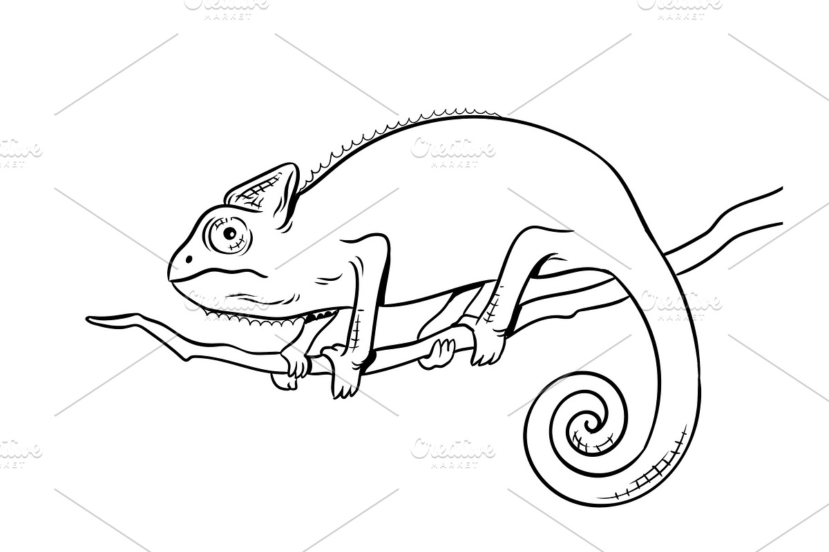 Chameleon animal coloring book vector illustration in Illustrations - product preview 8