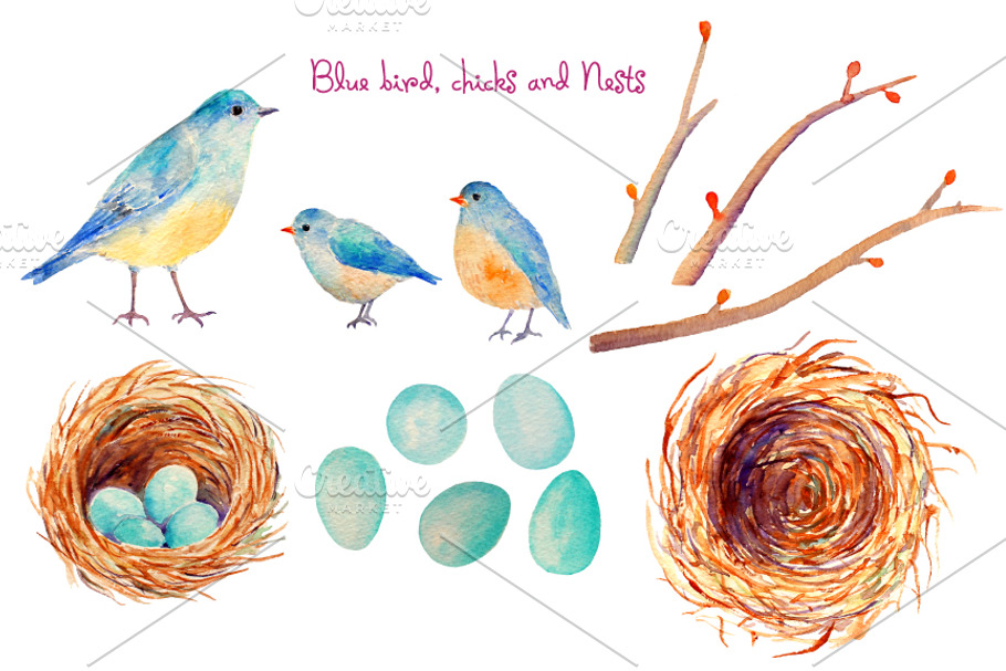 Watercolor Blue Bird Nest Easter Egg