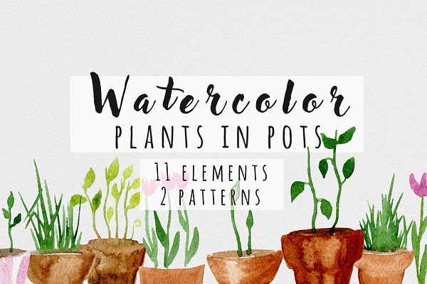 Watercolor plants in pots