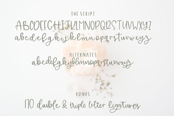 Alley - A Font Duo in Script Fonts - product preview 3