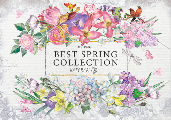 BEST SPRING FLOWERS in Illustrations - product preview 12