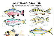 Gamefish Realistic Sketches