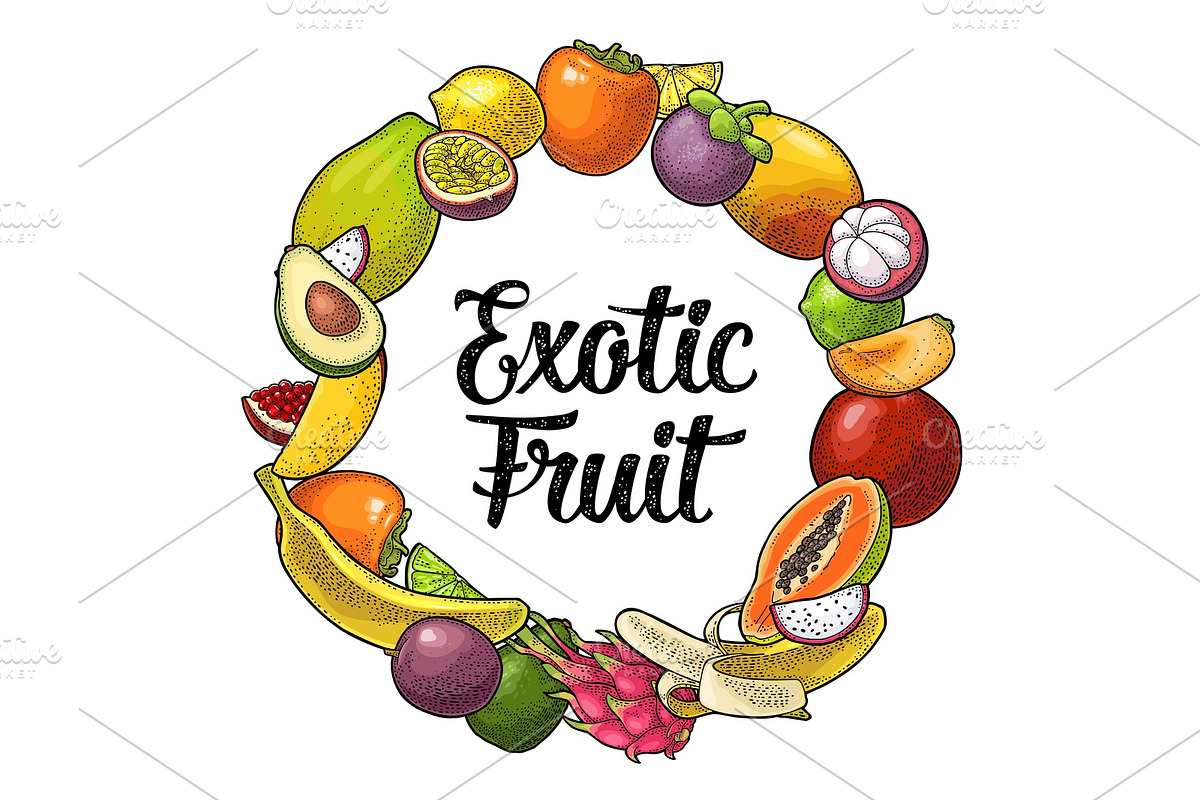 Circle shape set fruits engraving in Illustrations - product preview 8