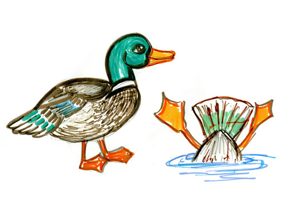 Just Ducky Color Sketches in Illustrations - product preview 2
