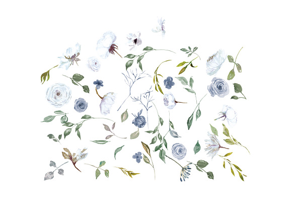 Watercolor White & French Blue Roses in Illustrations - product preview 1