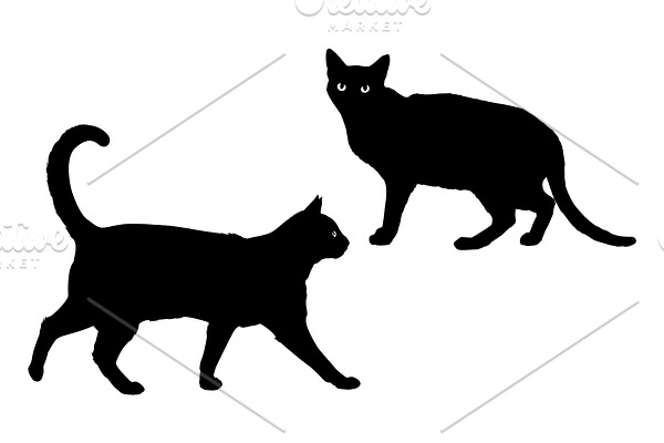 Vector black cat silhouette 