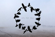 Crows in a circle vector silhouette