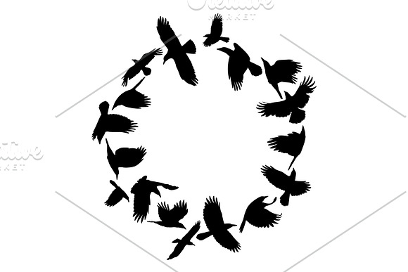 Crows in a circle vector silhouette in Illustrations - product preview 1