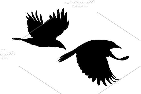 Crows in a circle vector silhouette in Illustrations - product preview 2
