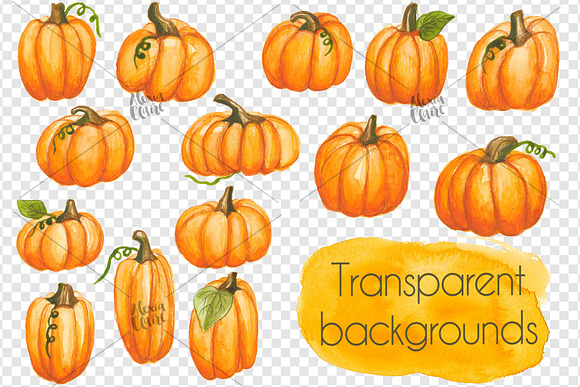 Watercolour Pumpkins in Illustrations - product preview 2